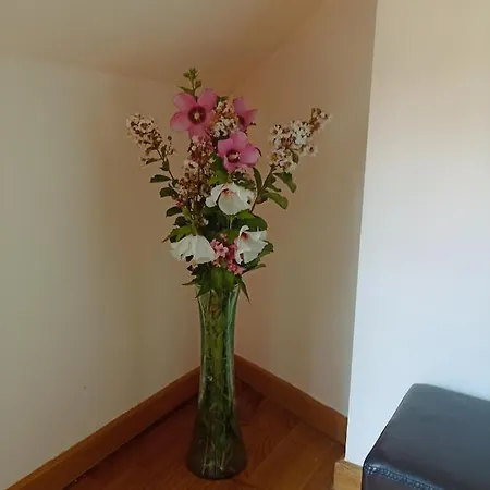 Appartement Apartamento En Poio